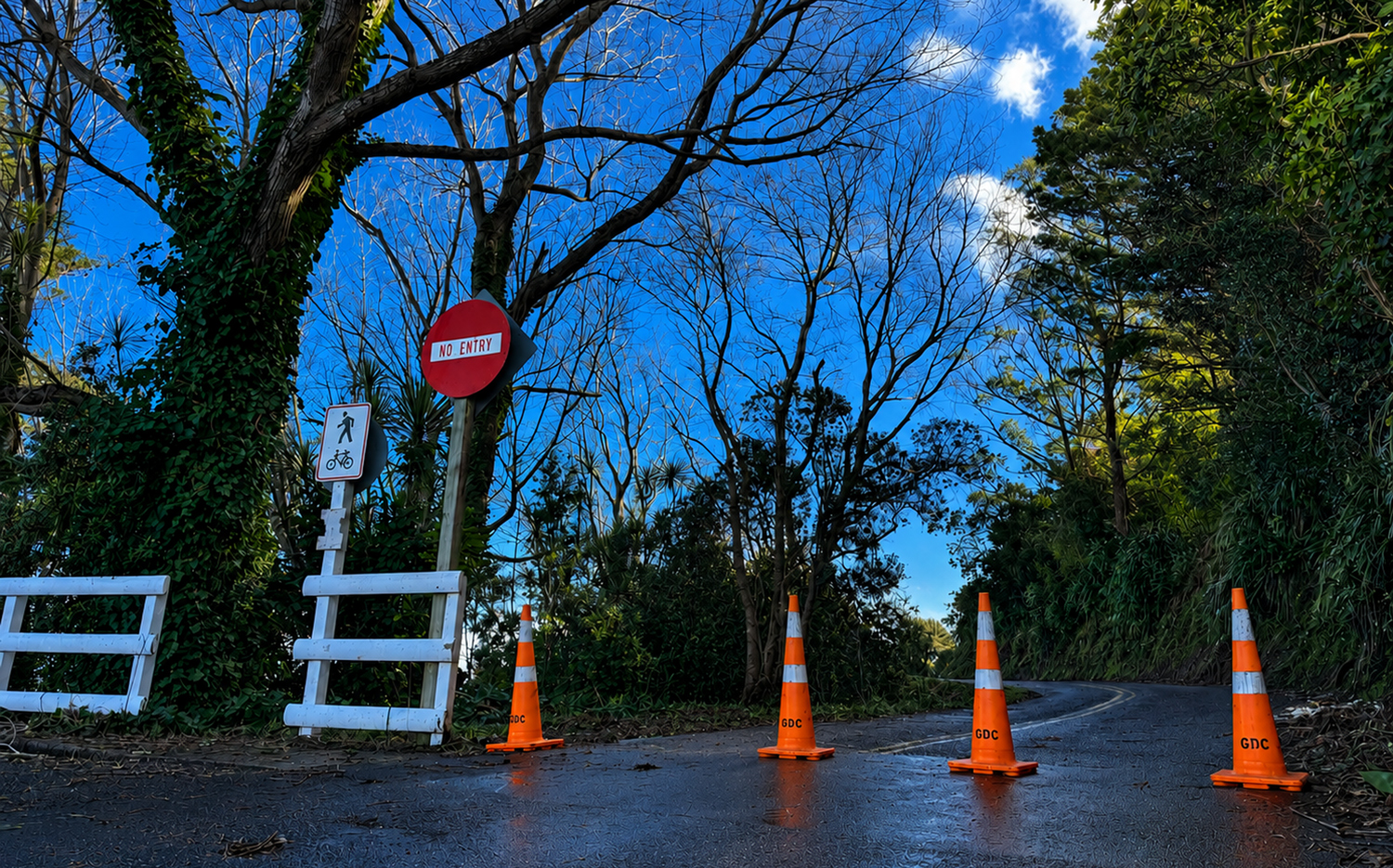 titirangi-titirangi-drive-closure