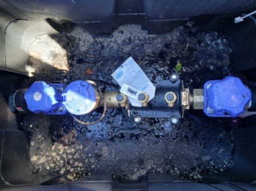 Backflow device