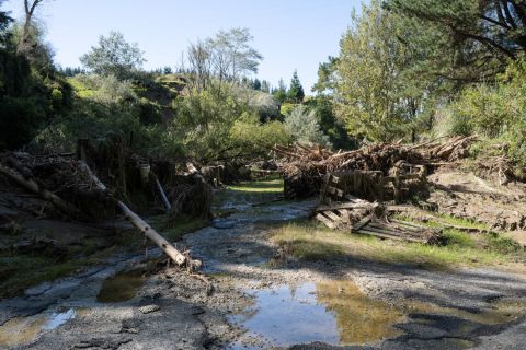 Transition programme business case released